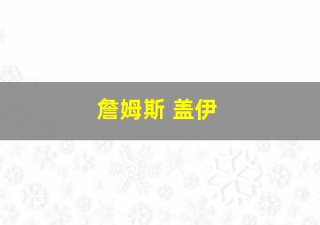 詹姆斯 盖伊